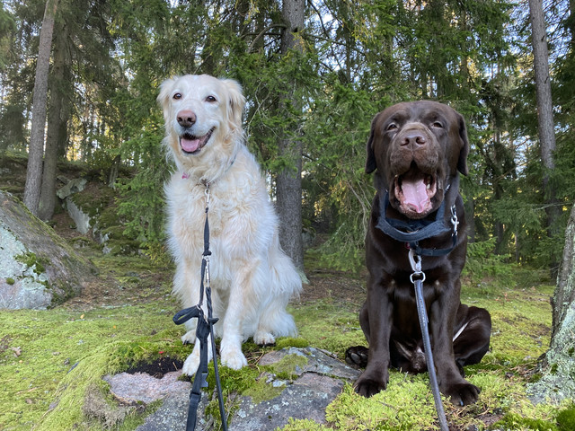 57-DC6-C75-3-C5-D-4-B8-D-AD2-F-20780-A0-