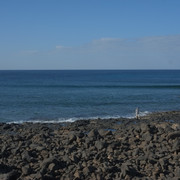 DSCF8383