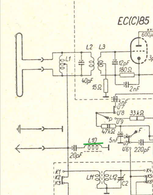 RizL10