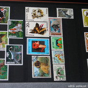 IMG-2337