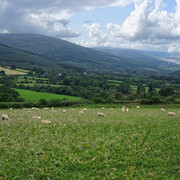 DSCF0975