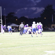 IMG-0453