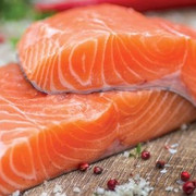 salmon