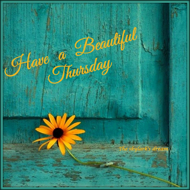 Thursday-5