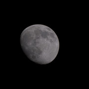 DSCF0650