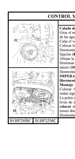 manual-correa