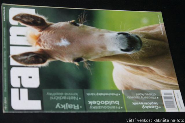 IMG-7732