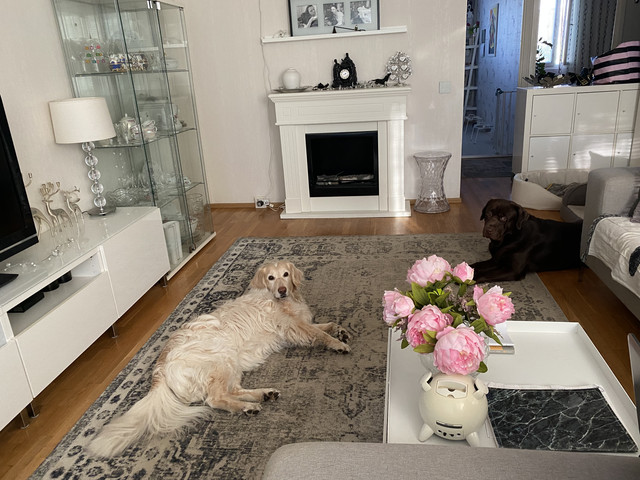 0246454-D-28-F2-4-AC8-951-B-40-A876641-D