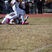 IMG-4155