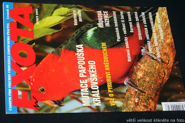 IMG-7803