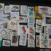 IMG-3527