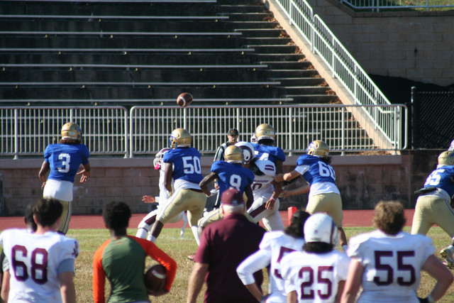 IMG-1019.jpg