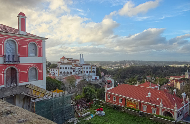 IMGP8272-1.jpg