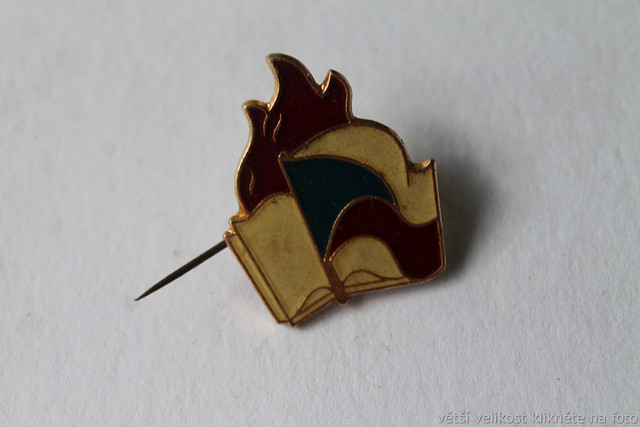 IMG-6840.jpg