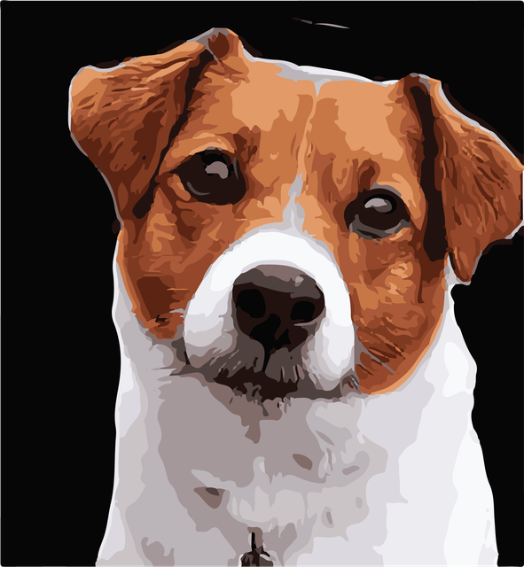doggooooooo.png