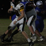 IMG-0163