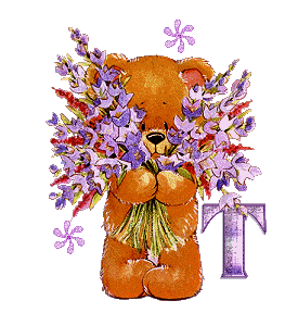 t.gif