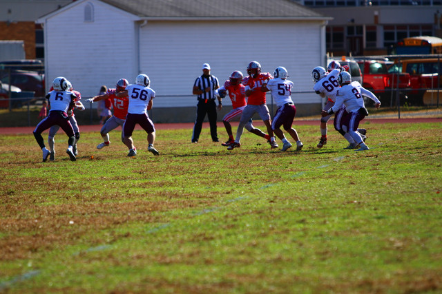 IMG-0527.jpg
