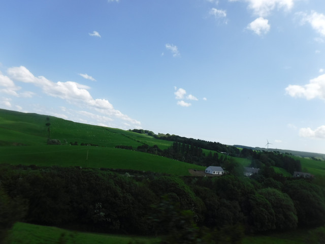 DSCF7948.jpg