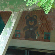 IMG-5911a