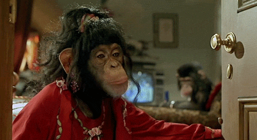 monkey-87.gif