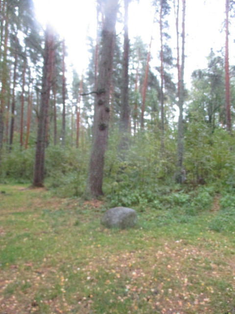 IMG-9575