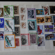 IMG-9586