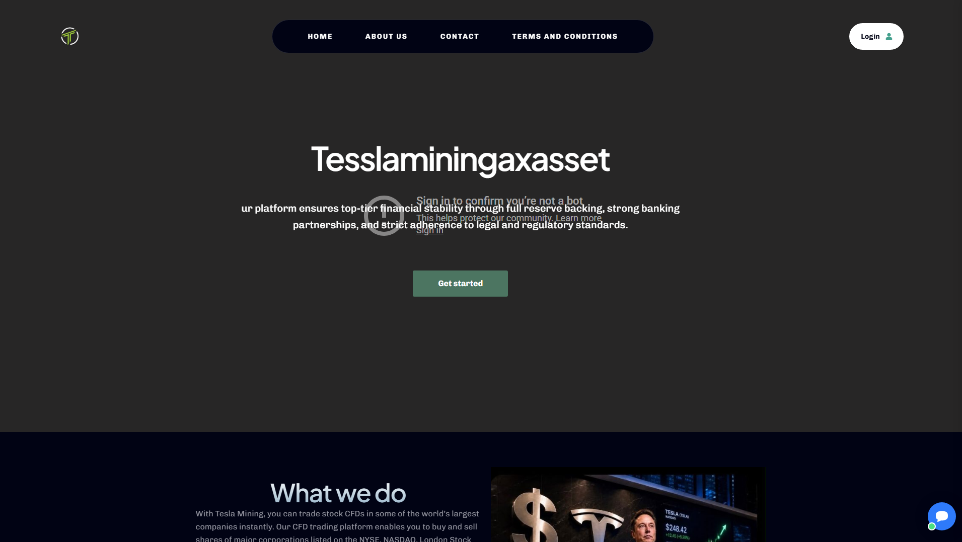 Stored capture of teslaminingaxasset.com