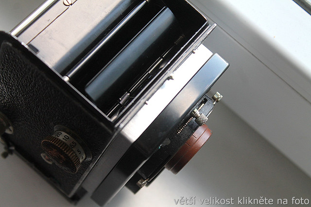 IMG-3156.jpg