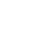6-transparent