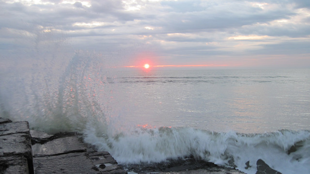 IMG-1343