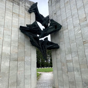 IMG-2925