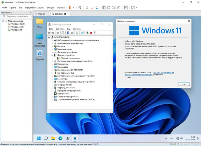 win11