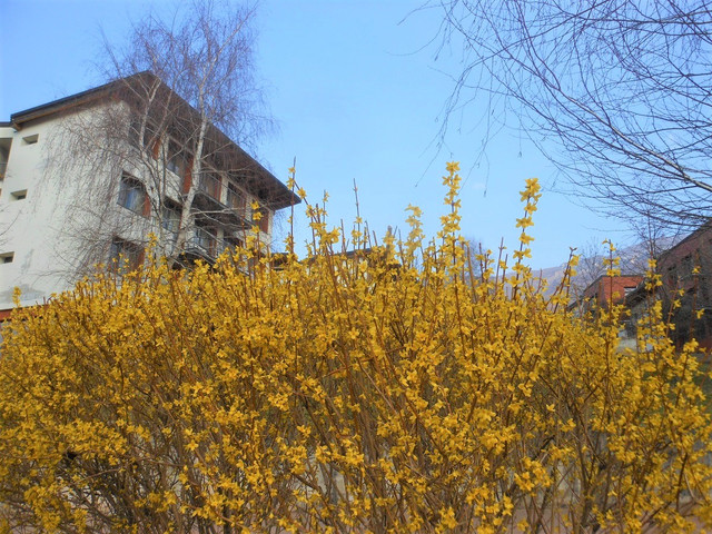 DSCN9656-2
