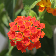 IMG-8553