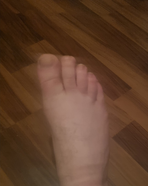 20241024-040849