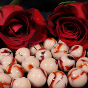 IMG-4925
