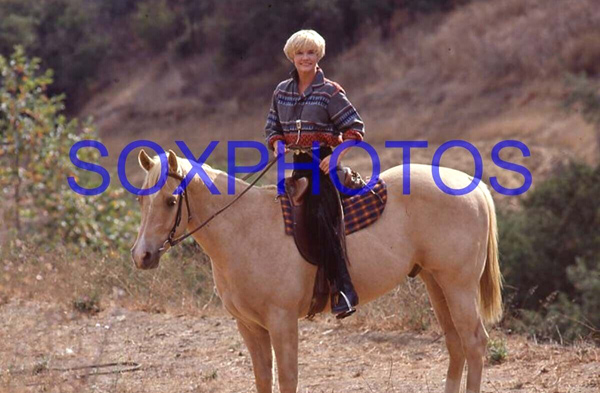 michelledemonslayerhorse.jpg