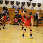 IMG-0071
