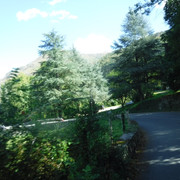 DSCF6204