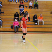IMG-0354