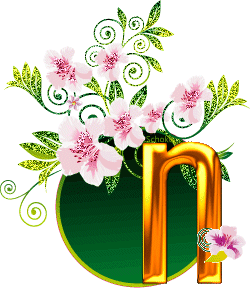 n.gif