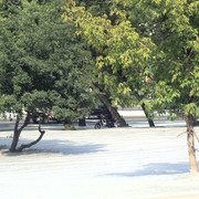 DSC5091