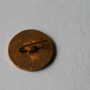 IMG-6805