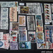 IMG-3081