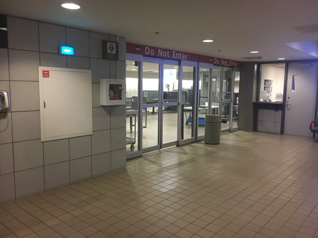 IMG-7375