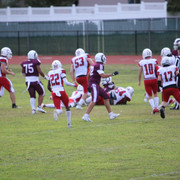 IMG-2638