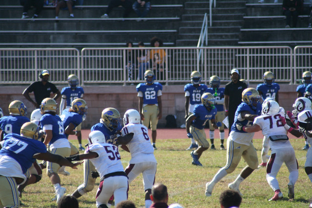 IMG-1203.jpg