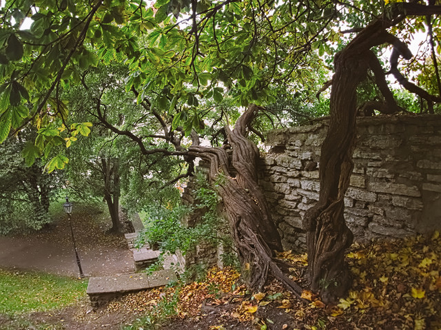 OLYMPUS-DIGITAL-CAMERA.jpg