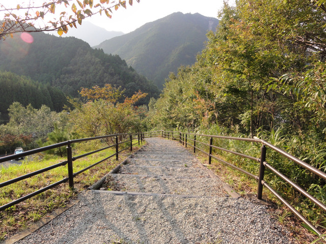 2011-10-08-59.jpg